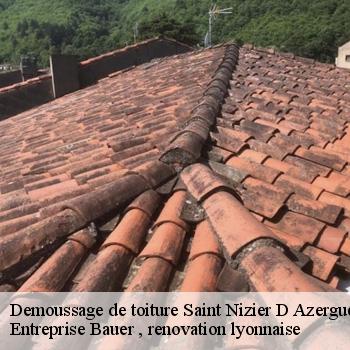 demoussage-de-toiture-saint-nizier-d-azergues-1