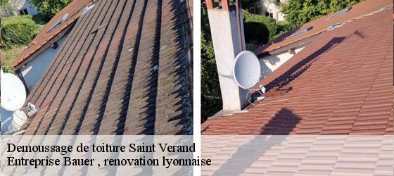 Demoussage de toiture  saint-verand-69620 Entreprise Bauer , renovation lyonnaise-4