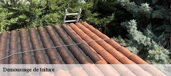 Demoussage de toiture villecheneve-69770 Entreprise Bauer , renovation lyonnaise-3