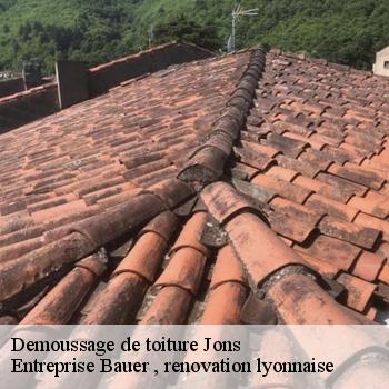 demoussage-de-toiture-jons-1