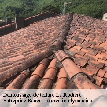 demoussage-de-toiture-la-rodiere-1