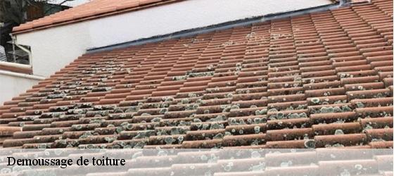 Demoussage de toiture saint-martin-de-cornas-69700 Entreprise Bauer , renovation lyonnaise-6