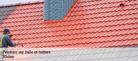 Peinture sur tuile et toiture 69 Rhône  Entreprise Bauer , renovation lyonnaise-5