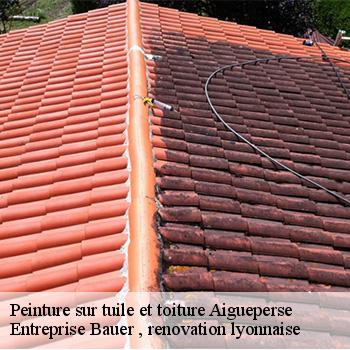 entreprise-de-peinture-sur-tuile-et-toiture-aigueperse-69790-1