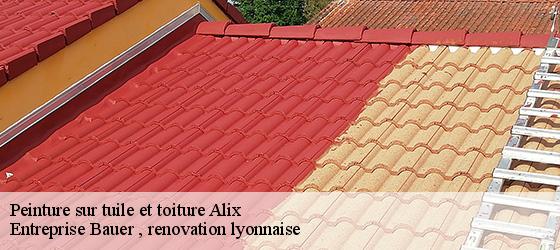 Peinture sur tuile et toiture  alix-69380 Entreprise Bauer , renovation lyonnaise-4