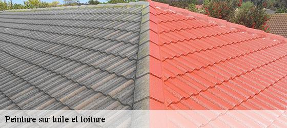 Peinture sur tuile et toiture  ancy-69490 Entreprise Bauer , renovation lyonnaise-3