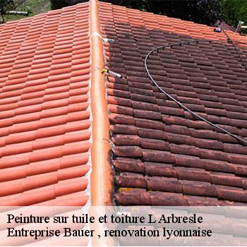 entreprise-de-peinture-sur-tuile-et-toiture-l-arbresle-69210-1