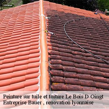 entreprise-de-peinture-sur-tuile-et-toiture-le-bois-d-oingt-69620-1