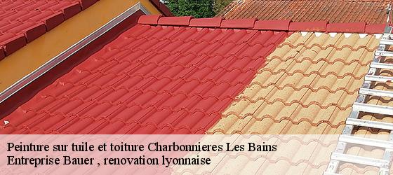 Peinture sur tuile et toiture charbonnieres-les-bains-69260 Entreprise Bauer , renovation lyonnaise-4