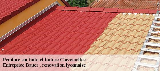 Peinture sur tuile et toiture claveisolles-69870 Entreprise Bauer , renovation lyonnaise-4