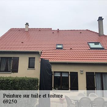 entreprise-de-peinture-sur-tuile-et-toiture-curis-au-mont-d-or-69250-2