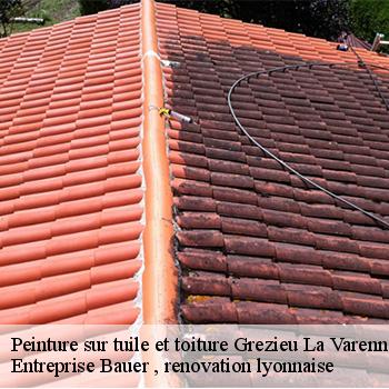 entreprise-de-peinture-sur-tuile-et-toiture-grezieu-la-varenne-69290-1