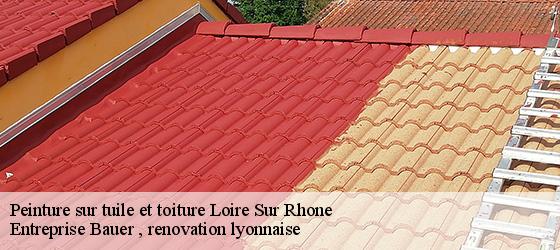 Peinture sur tuile et toiture  loire-sur-rhone-69700 Entreprise Bauer , renovation lyonnaise-4