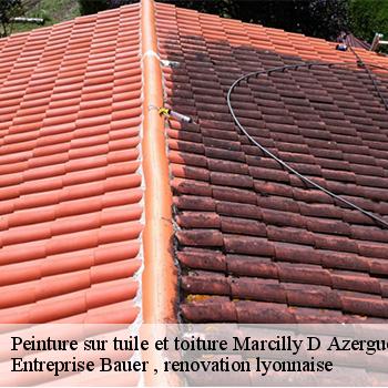 entreprise-de-peinture-sur-tuile-et-toiture-marcilly-d-azergues-69380-1