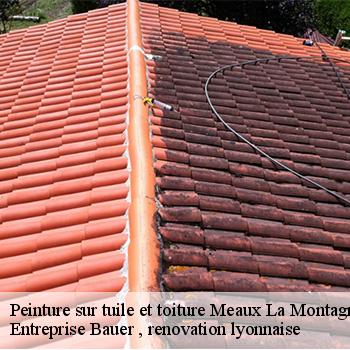 entreprise-de-peinture-sur-tuile-et-toiture-meaux-la-montagne-69550-1