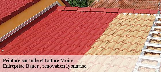 Peinture sur tuile et toiture  moire-69620 Entreprise Bauer , renovation lyonnaise-4