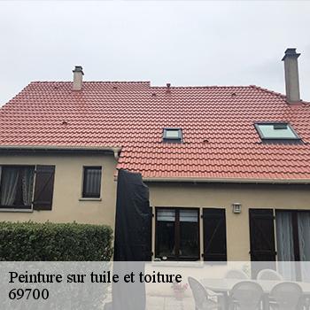 entreprise-de-peinture-sur-tuile-et-toiture-montagny-69700-2