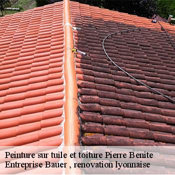 entreprise-de-peinture-sur-tuile-et-toiture-pierre-benite-69310-1