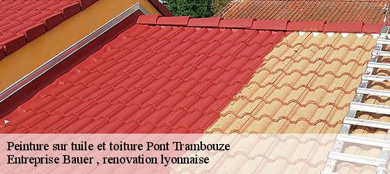 Peinture sur tuile et toiture  pont-trambouze-69240 Entreprise Bauer , renovation lyonnaise-4