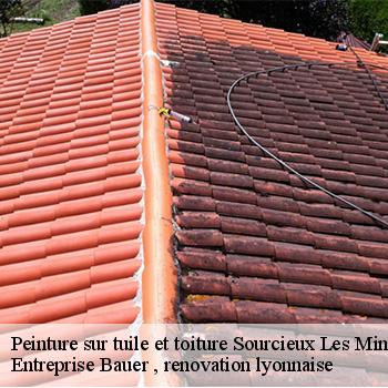 entreprise-de-peinture-sur-tuile-et-toiture-sourcieux-les-mines-69210-1