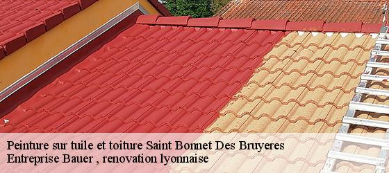 Peinture sur tuile et toiture  saint-bonnet-des-bruyeres-69790 Entreprise Bauer , renovation lyonnaise-4