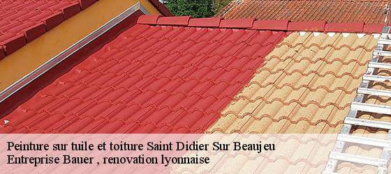 Peinture sur tuile et toiture  saint-didier-sur-beaujeu-69430 Entreprise Bauer , renovation lyonnaise-4