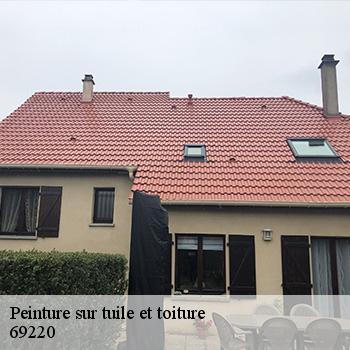 entreprise-de-peinture-sur-tuile-et-toiture-saint-jean-d-ardieres-69220-2