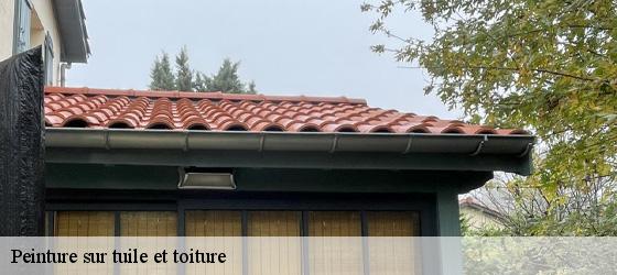 Peinture sur tuile et toiture  saint-jean-des-vignes-69380 Entreprise Bauer , renovation lyonnaise-6