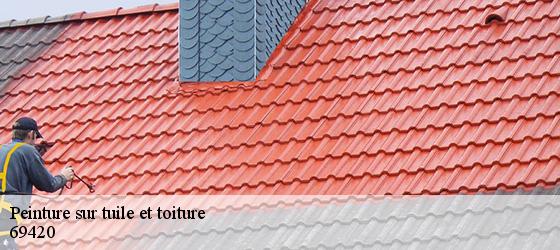 Peinture sur tuile et toiture  treves-69420 Entreprise Bauer , renovation lyonnaise-5