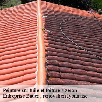 entreprise-de-peinture-sur-tuile-et-toiture-yzeron-69510-1