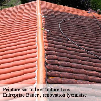 entreprise-de-peinture-sur-tuile-et-toiture-jons-69330-1