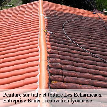 entreprise-de-peinture-sur-tuile-et-toiture-les-echarmeaux-69870-1