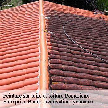 entreprise-de-peinture-sur-tuile-et-toiture-pomerieux-69560-1