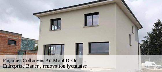 Façadier  collonges-au-mont-d-or-69660 Entreprise Bauer , renovation lyonnaise-4
