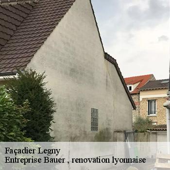 artisan-facadier-legny-69620-1