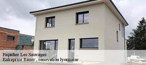 Façadier  les-sauvages-69170 Entreprise Bauer , renovation lyonnaise-4