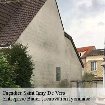 artisan-facadier-saint-igny-de-vers-69790-1
