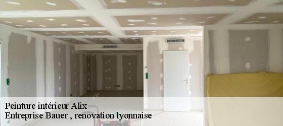 Peinture intérieur  alix-69380 Entreprise Bauer , renovation lyonnaise-4