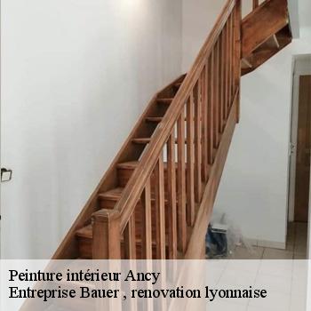 entreprise-de-peinture-interieur-ancy-69490-1