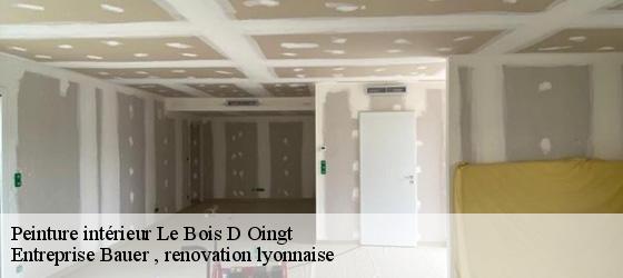 Peinture intérieur  le-bois-d-oingt-69620 Entreprise Bauer , renovation lyonnaise-4