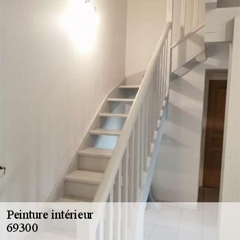 entreprise-de-peinture-interieur-caluire-et-cuire-69300-2