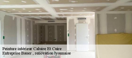Peinture intérieur  caluire-et-cuire-69300 Entreprise Bauer , renovation lyonnaise-4