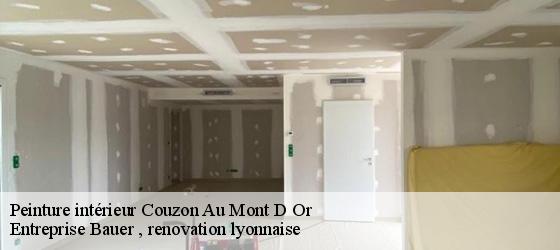 Peinture intérieur  couzon-au-mont-d-or-69270 Entreprise Bauer , renovation lyonnaise-4