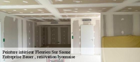 Peinture intérieur  fleurieu-sur-saone-69250 Entreprise Bauer , renovation lyonnaise-4