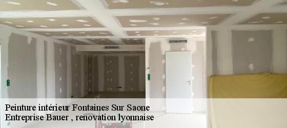 Peinture intérieur fontaines-sur-saone-69270 Entreprise Bauer , renovation lyonnaise-4