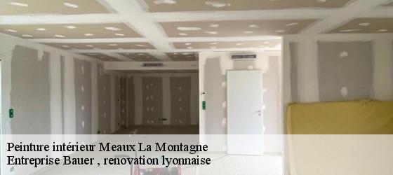Peinture intérieur  meaux-la-montagne-69550 Entreprise Bauer , renovation lyonnaise-4