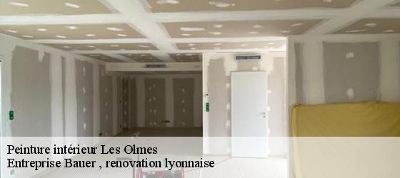 Peinture intérieur  les-olmes-69490 Entreprise Bauer , renovation lyonnaise-4