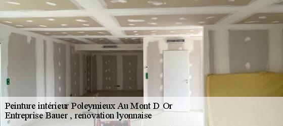 Peinture intérieur  poleymieux-au-mont-d-or-69250 Entreprise Bauer , renovation lyonnaise-4