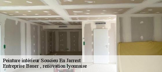 Peinture intérieur  soucieu-en-jarrest-69510 Entreprise Bauer , renovation lyonnaise-4