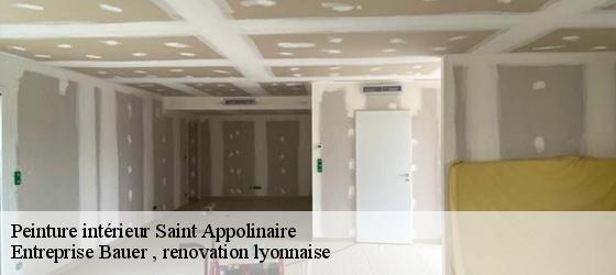 Peinture intérieur  saint-appolinaire-69170 Entreprise Bauer , renovation lyonnaise-4